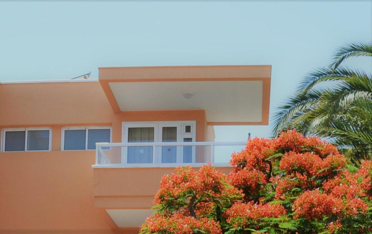 Apartamentos Horizonte Playa del Inglés Rum bild