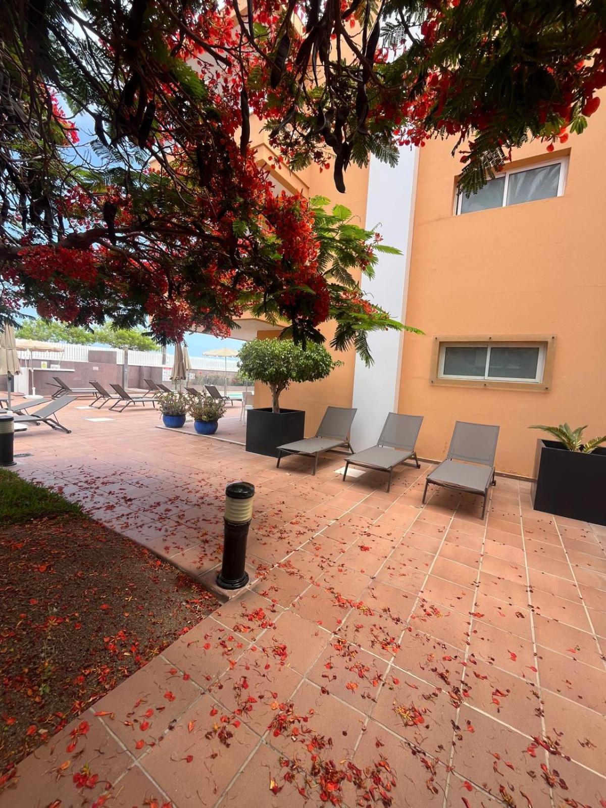 Apartamentos Horizonte Playa del Inglés Exteriör bild